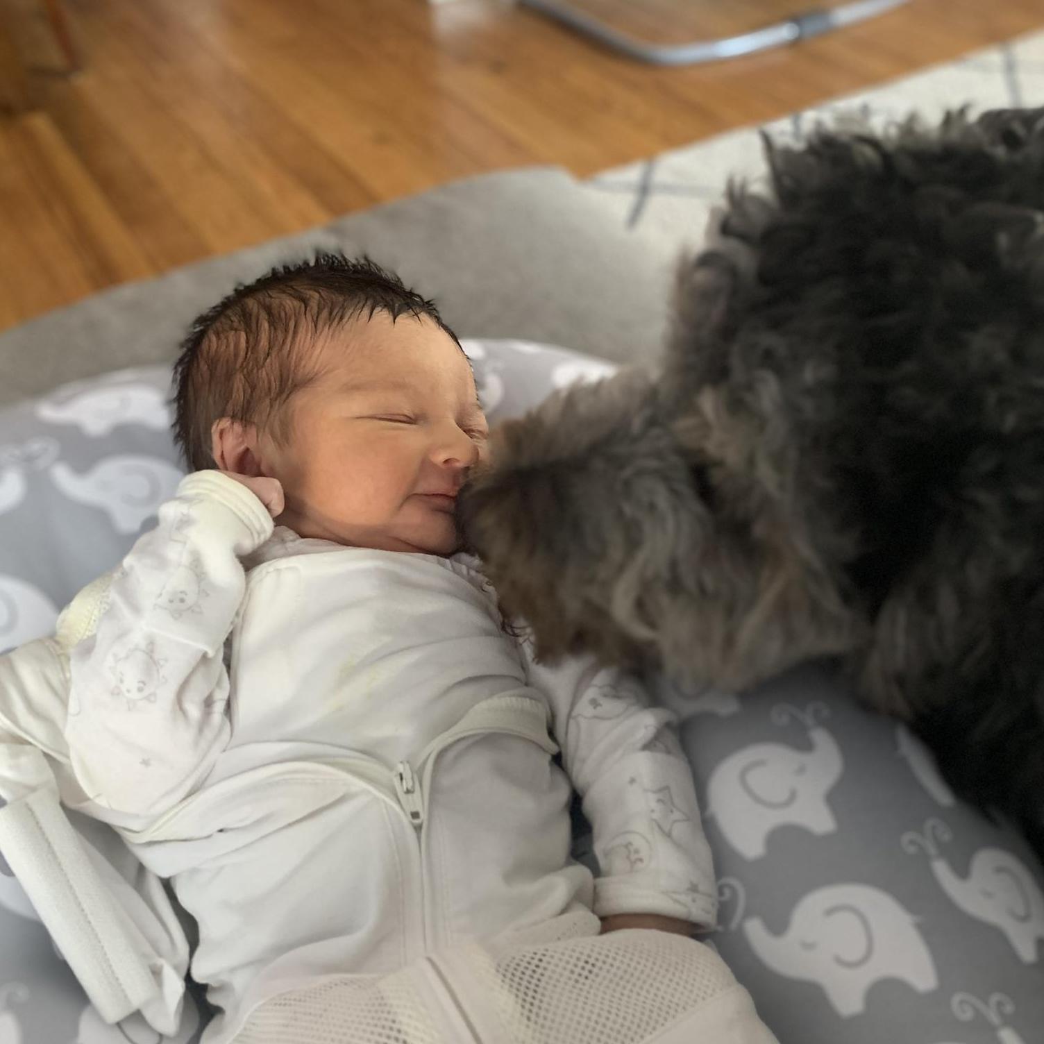 Dakota meeting Hudson