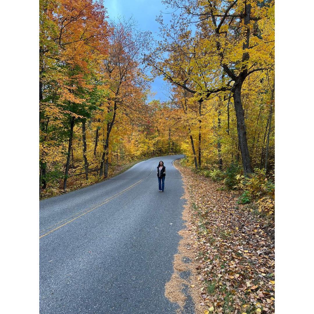 Beautiful Minnesota, almost as pretty as Virginia ;)