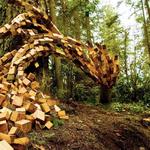 Price Sculpture Forest