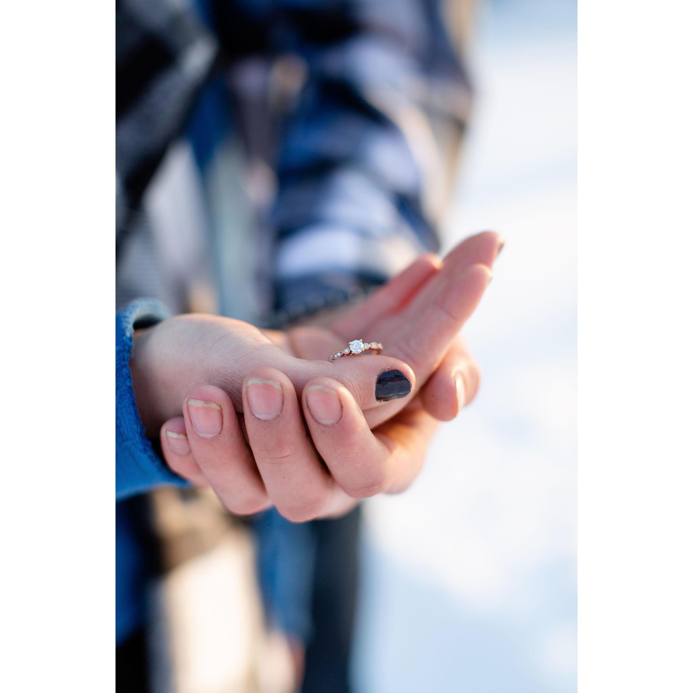 Engagement Photos: Ashley Dahl Photography