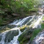 Dunning's Spring Park