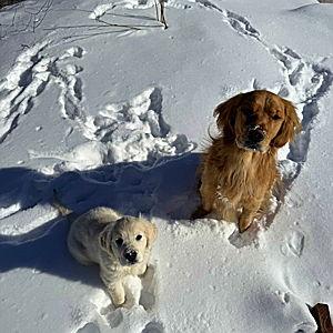 New Snow Plow Fund