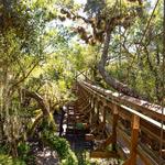 Myakka River State Park