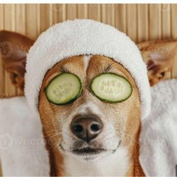 Spa Day on our Honeymoon!