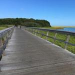 Cape Cod Rail Trail