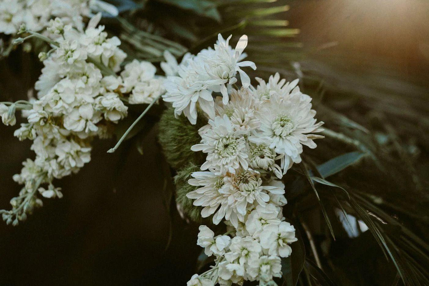 The Wedding Website of Alexandra Lebon and Justin Dangel