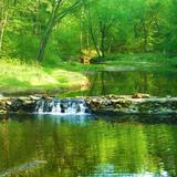 William B. Umstead State Park