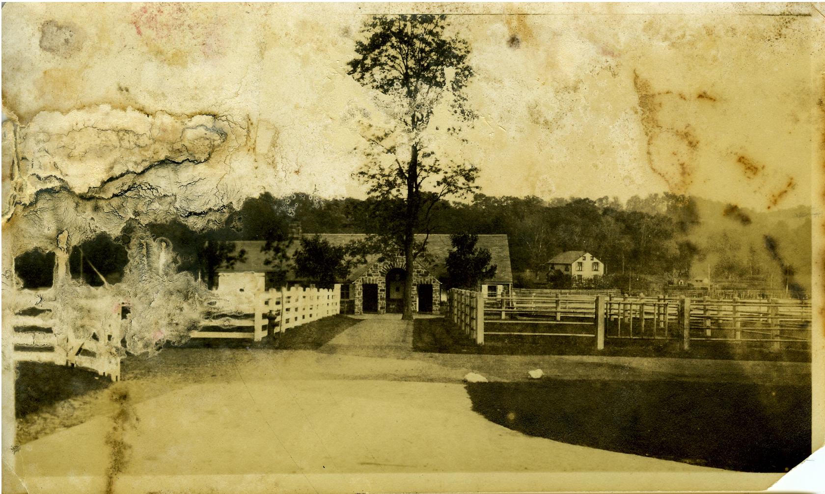 The Wedding Website of Nancy Isabelle Satola and William Tyler Haskell