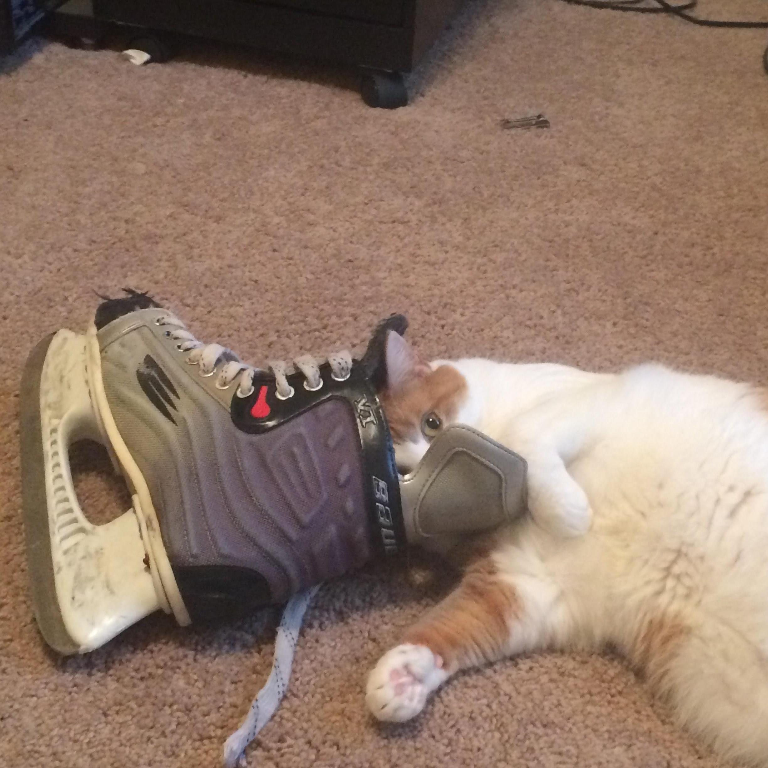 We call this “Skate Head.” It just smells the very best!