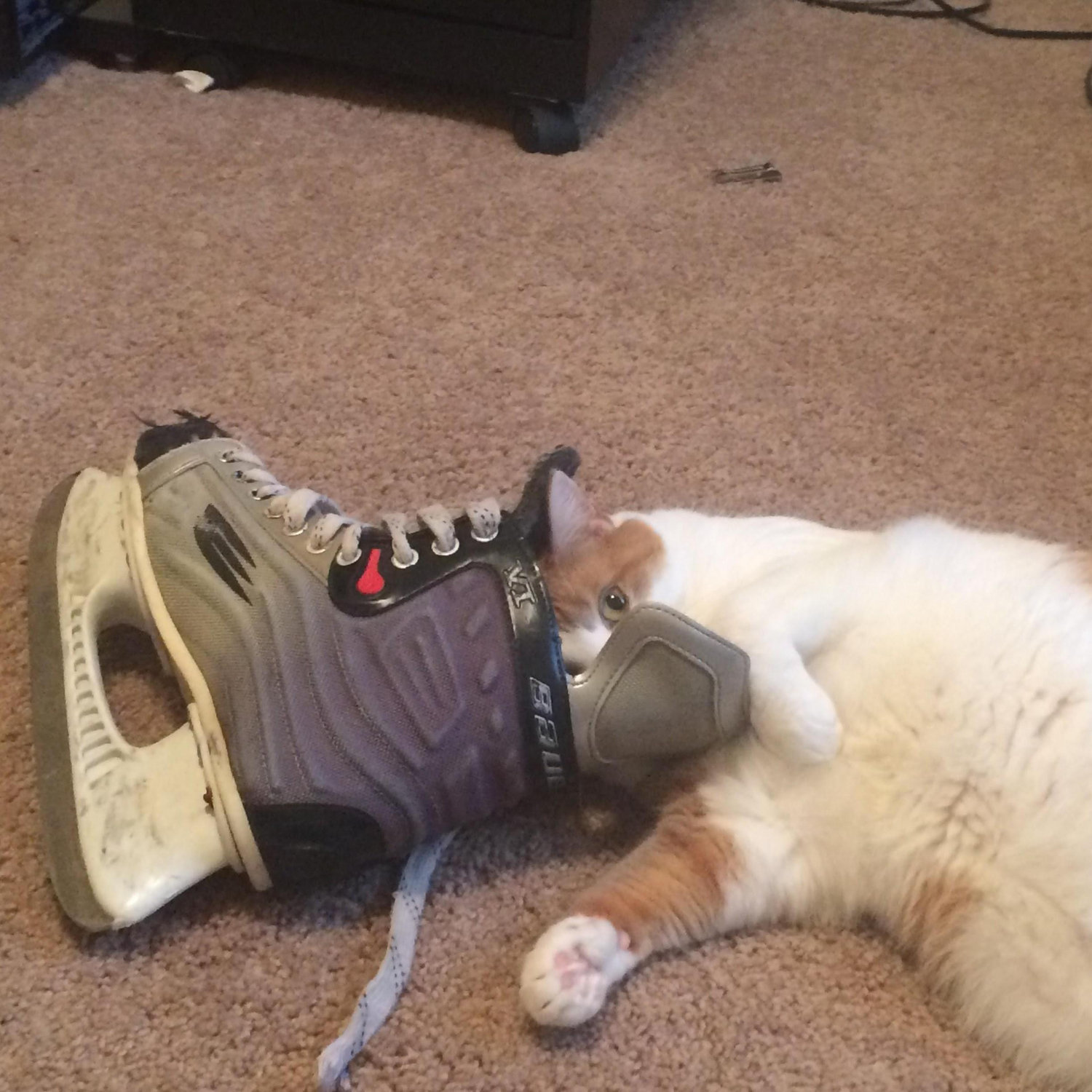We call this “Skate Head.” It just smells the very best!