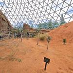 Omaha's Henry Doorly Zoo and Aquarium
