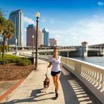 Bayshore Boulevard