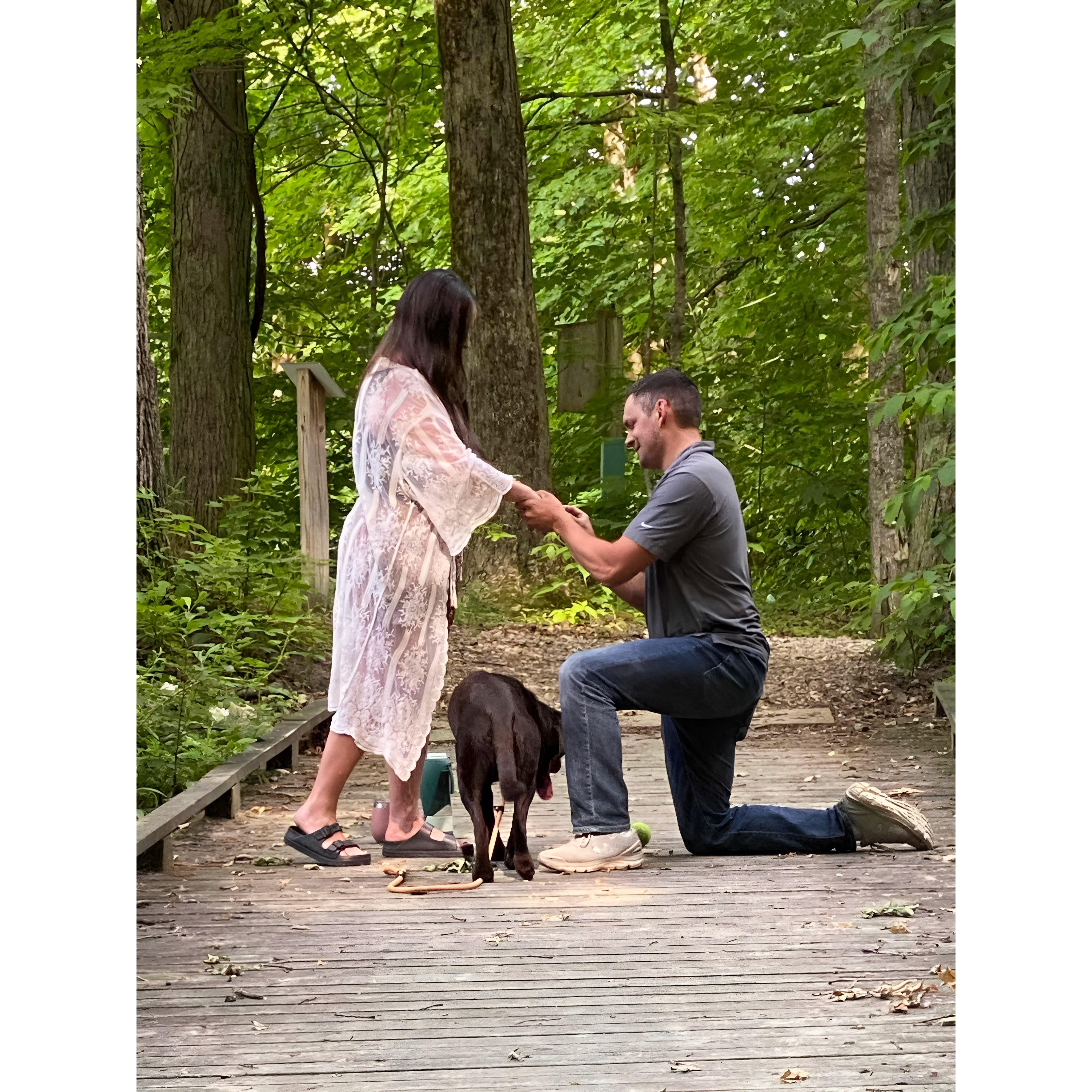 Our sweet puppy River was in on the surprise engagement