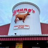 Young's Jersey Dairy