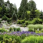 Bellevue Botanical Garden