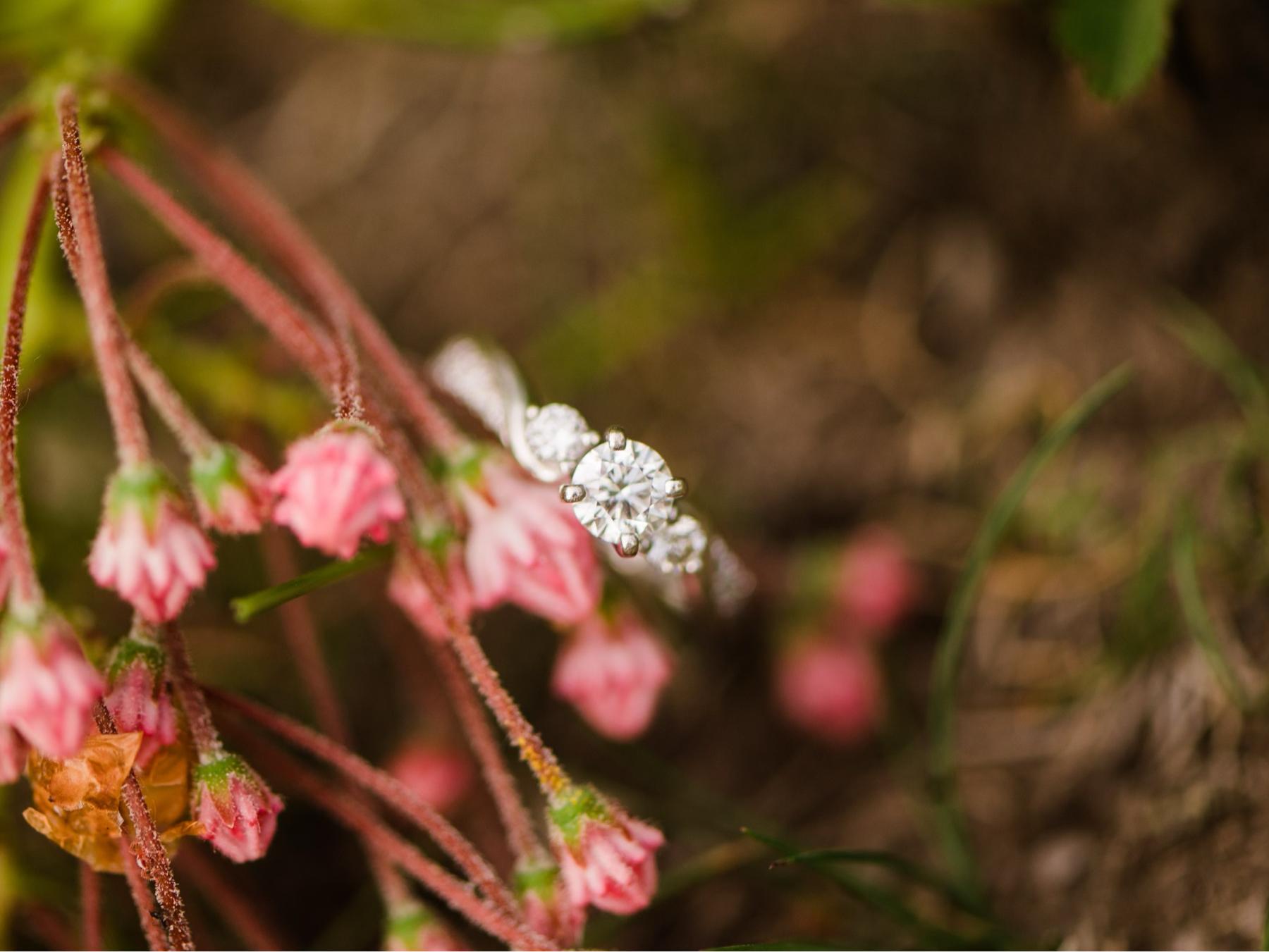 The Wedding Website of Anna Kathryn Mishoe and Jacob Ryan Zoller