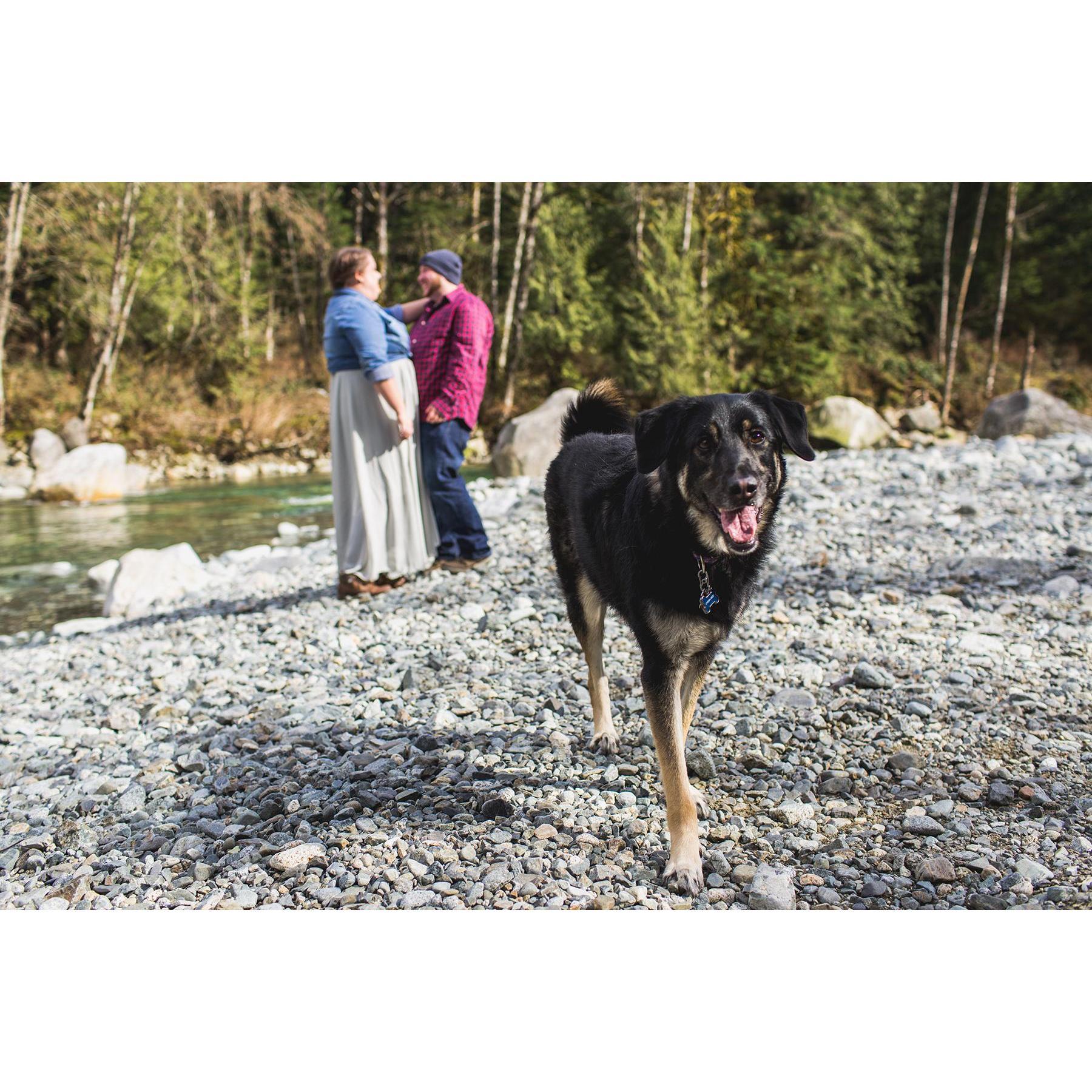 Our Engagement shoot.