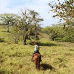 Horseback Riding