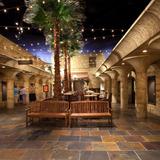 Creation Museum
