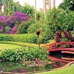 Sunken Gardens