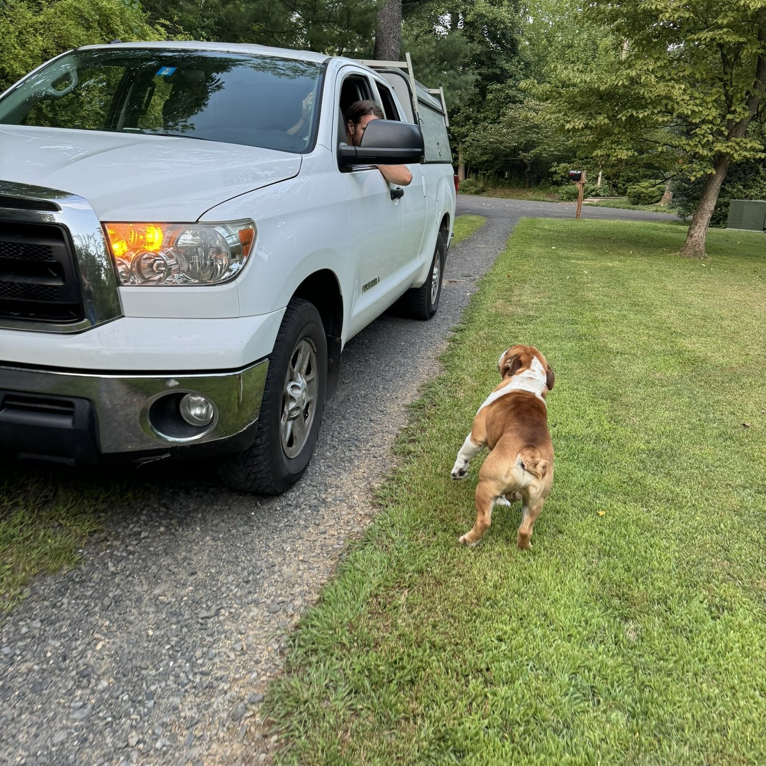 Marvin’s favorite guy coming home
