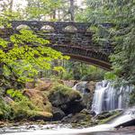 Whatcom Falls Park