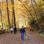 Wissahickon Valley Park