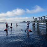 Three Brothers Boards Dolphin and Manatee Paddle Board Tours
