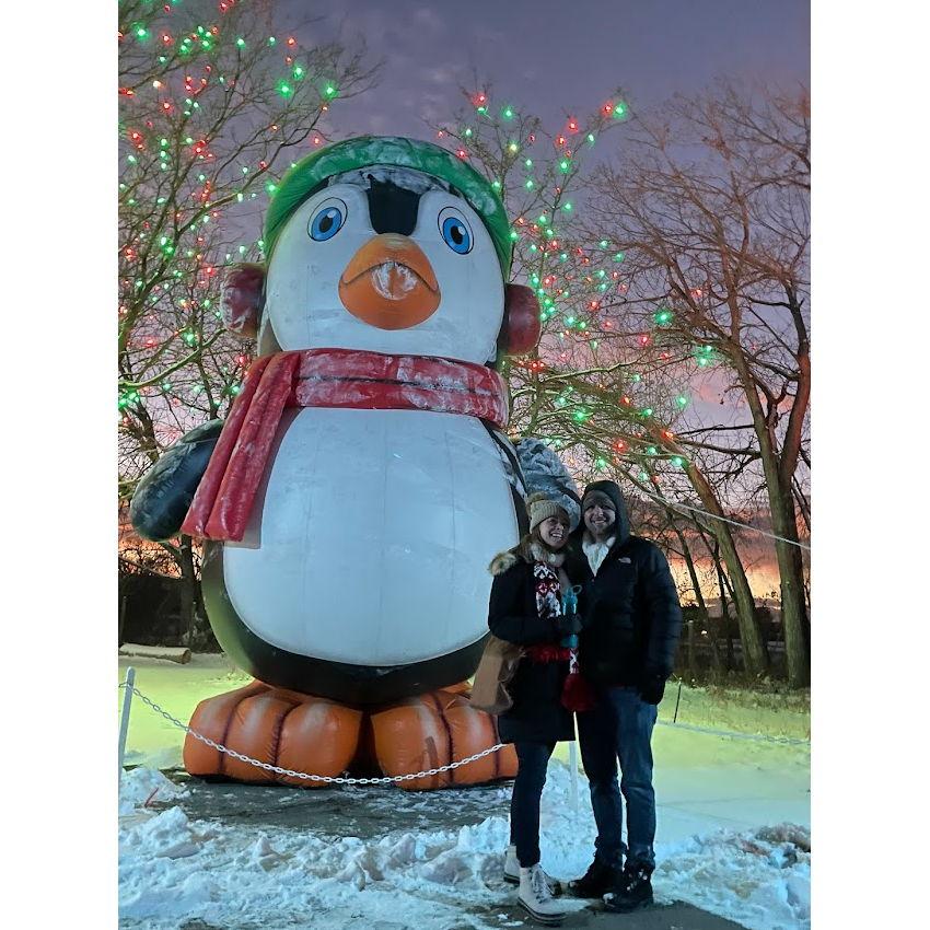 Winter lights in Denver with our favorite animal - Dec 2022