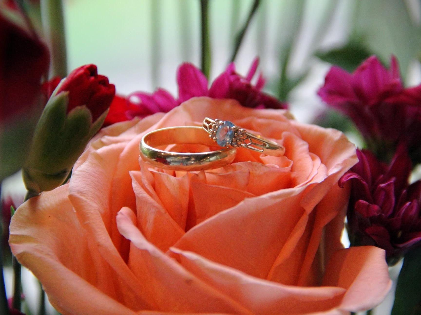 The Wedding Website of Hope-Katherine Matter and Henry Thomas Matter