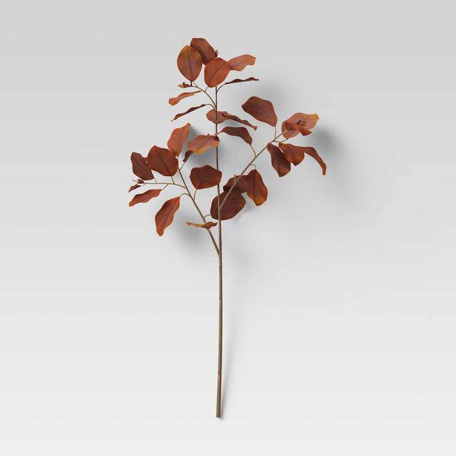 28" Artificial Silver Dollar Spray Leaf Stem Brown - Threshold™