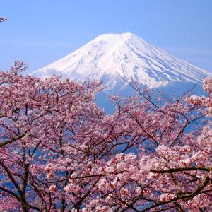 Our Honeymoon Fund - Help send us to Japan!