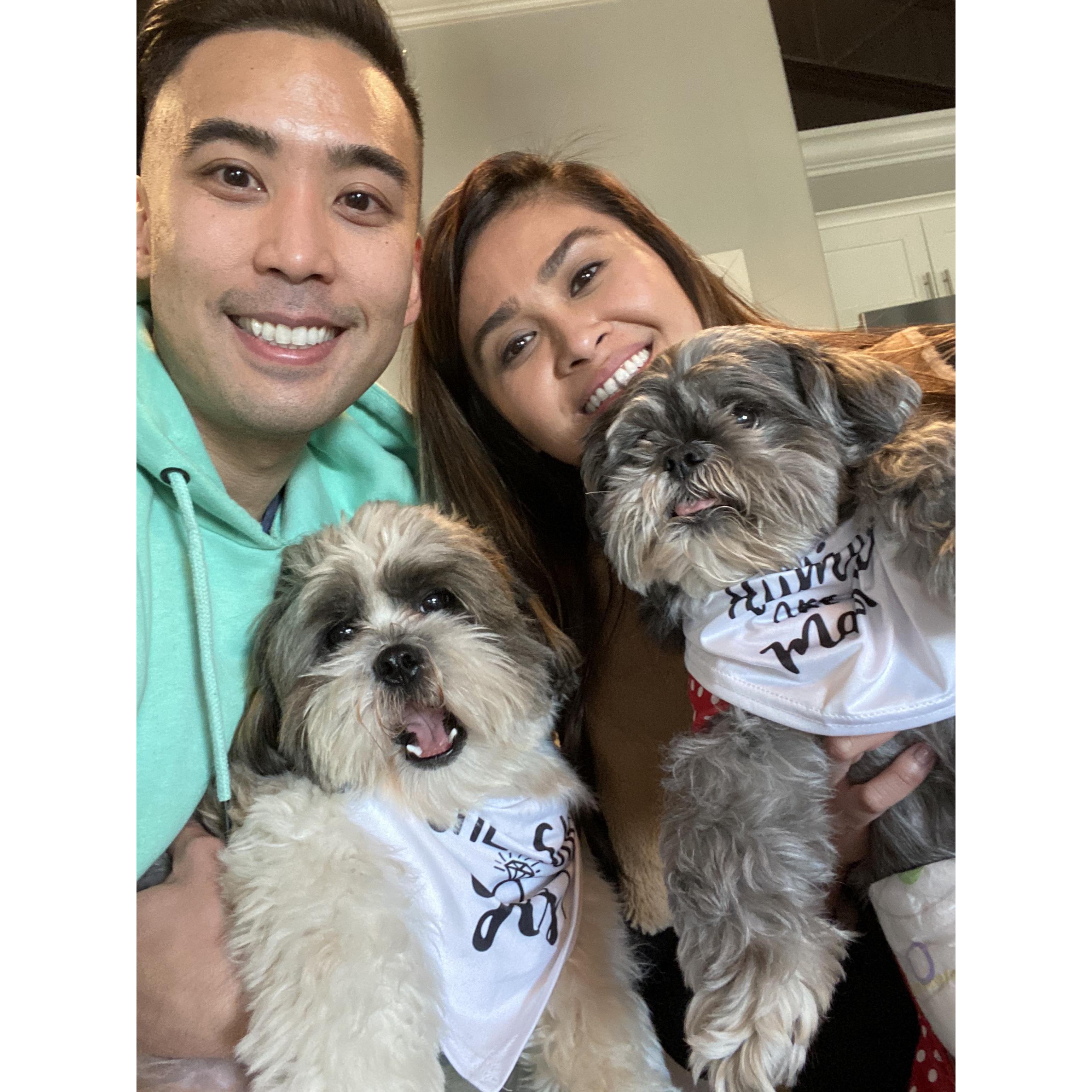 "Our humans are getting married!"