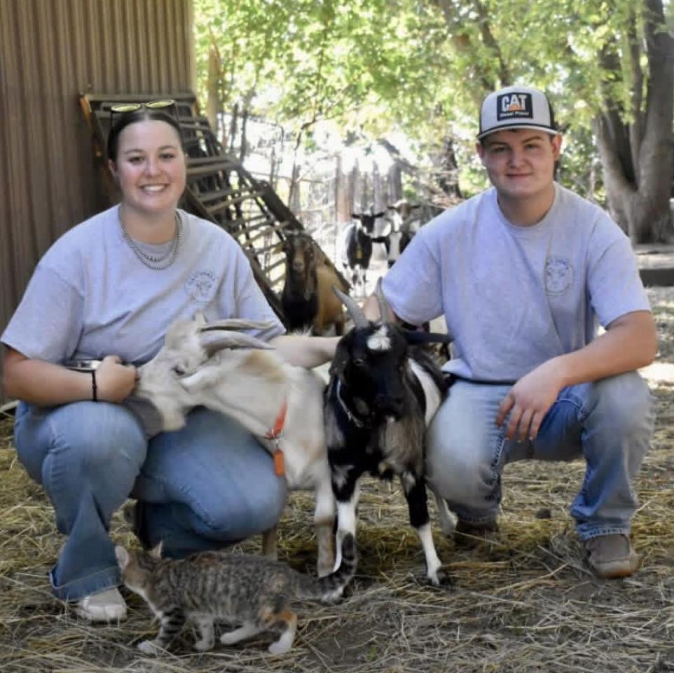 Farm Renovation Fund
