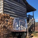 Cavender Creek Vineyards