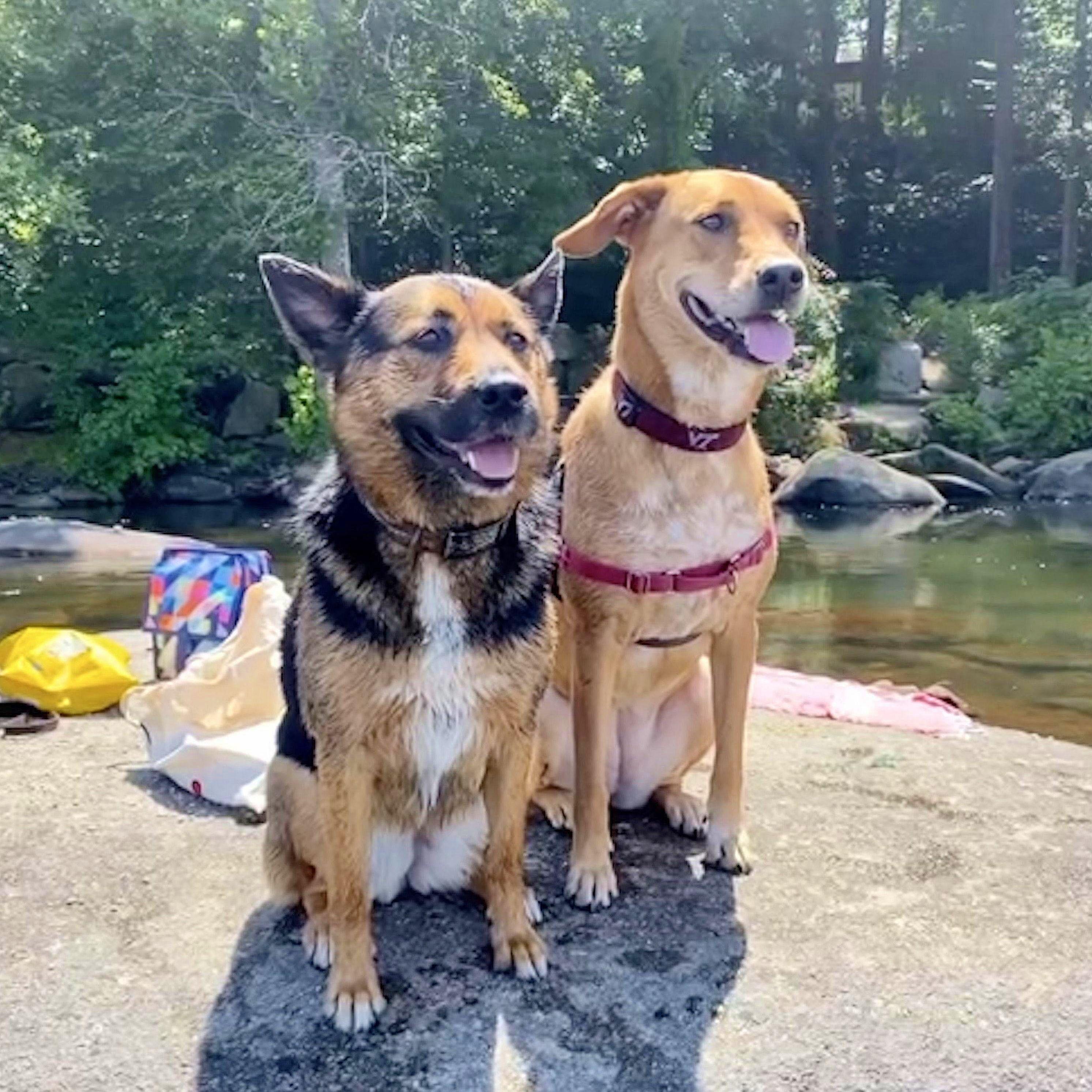 The girls hanging out on the James river