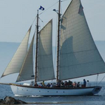 Olad Day Sails & Charters