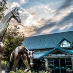 Denver Zoo