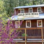 Gold Bug Park & Mine