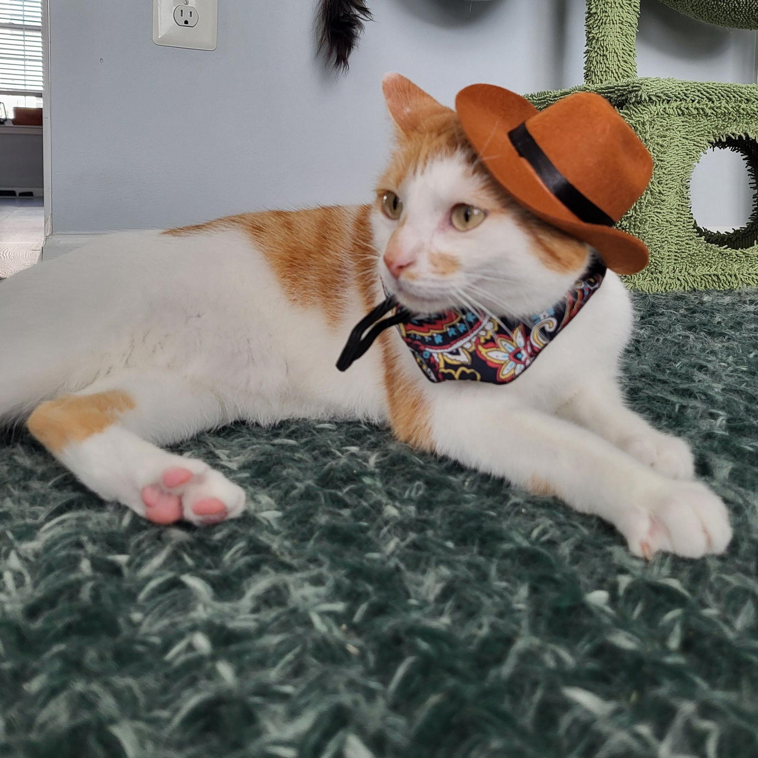 In loving memory of Billo Singh- the bravest cowboy we ever knew.