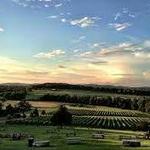 Arrington Vineyards