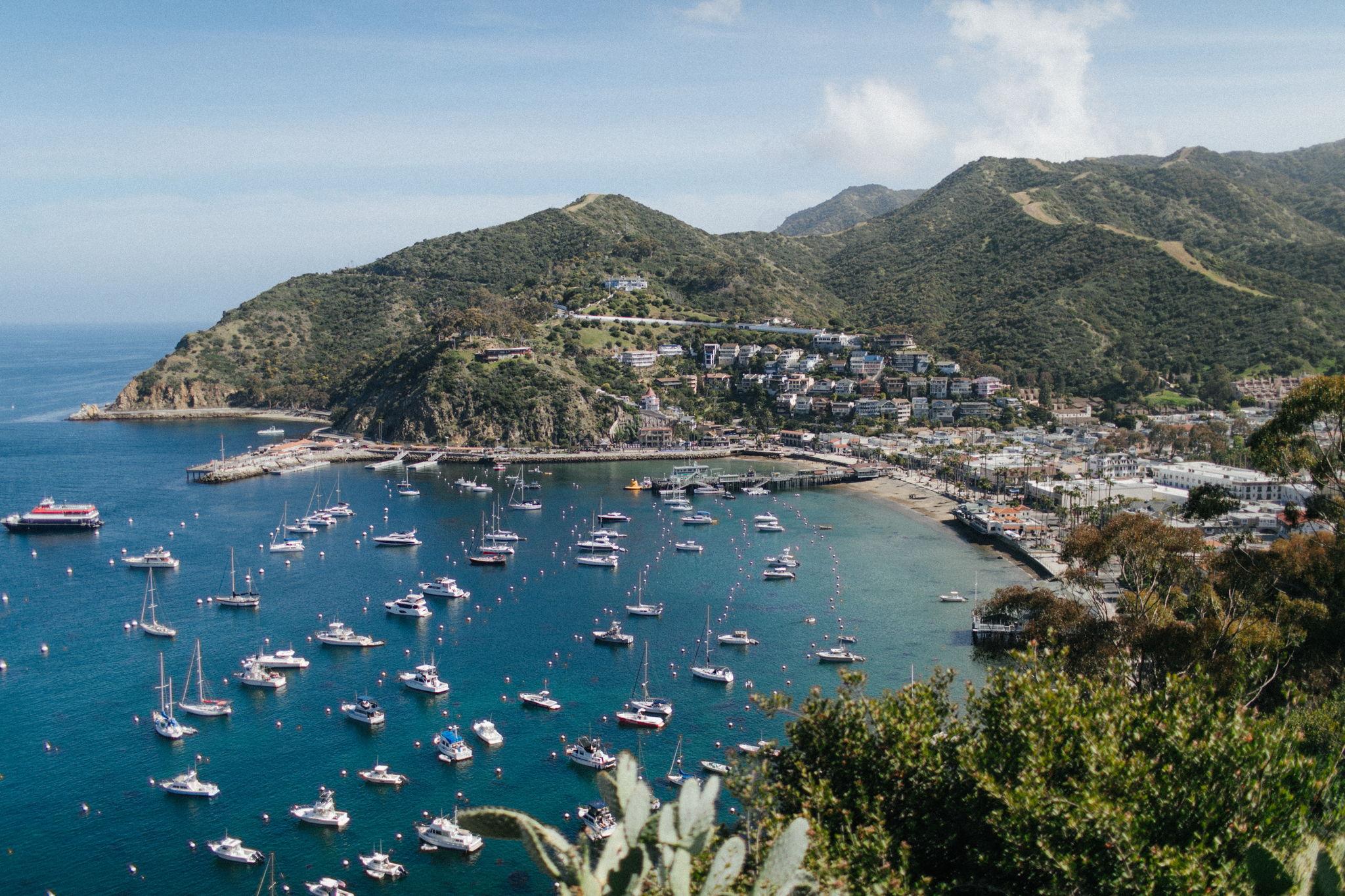 The Wedding Website of Megan Chamberlin and Jack Turnbow