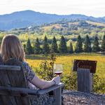 Copain Wines