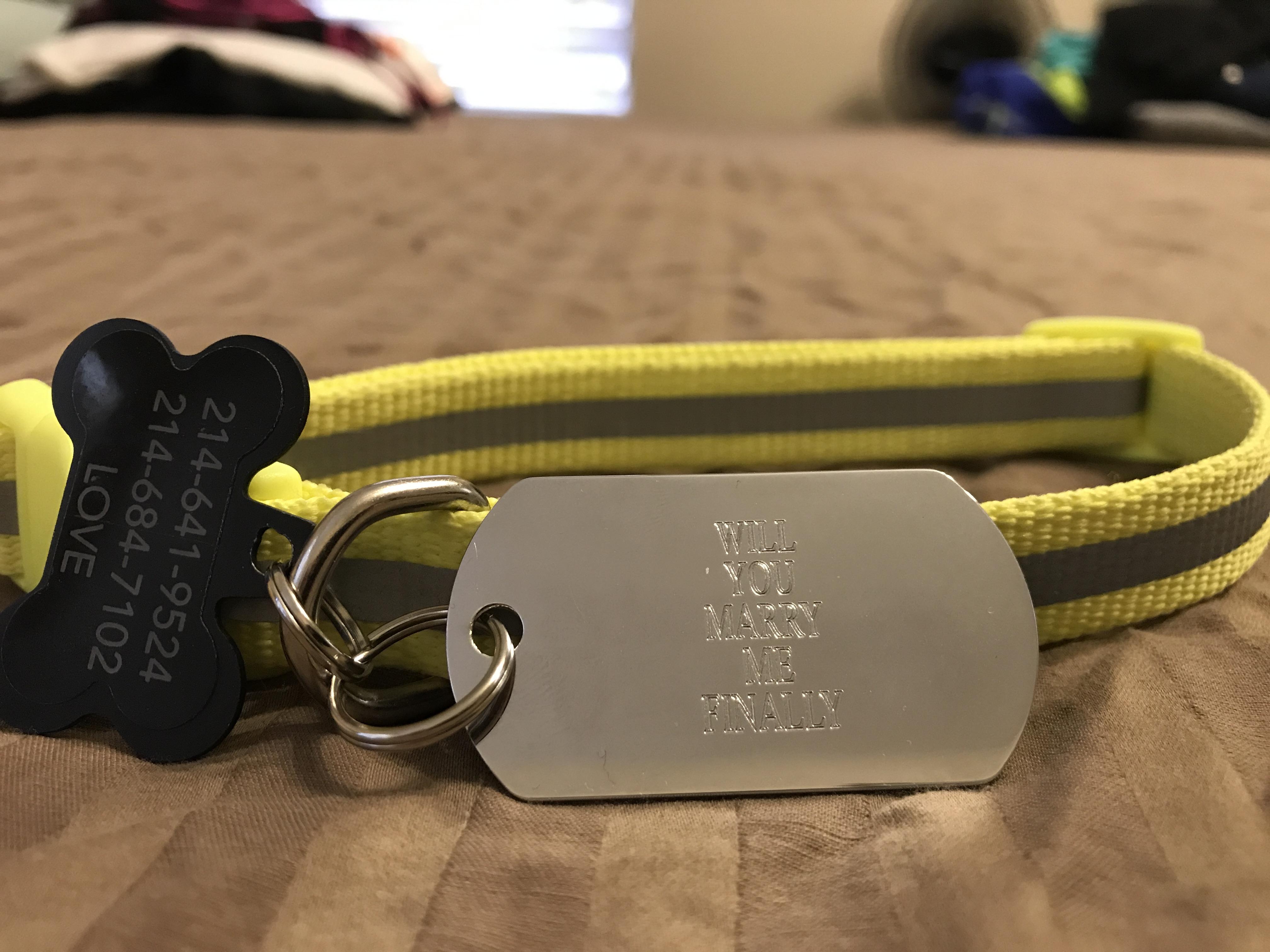 fe2c3ccd-f97a-4348-8a87-297645b12606