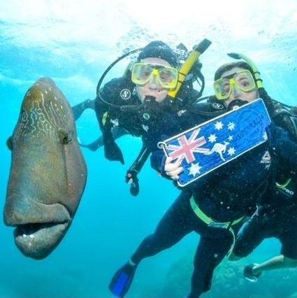 Great Barrier Reef, 2022