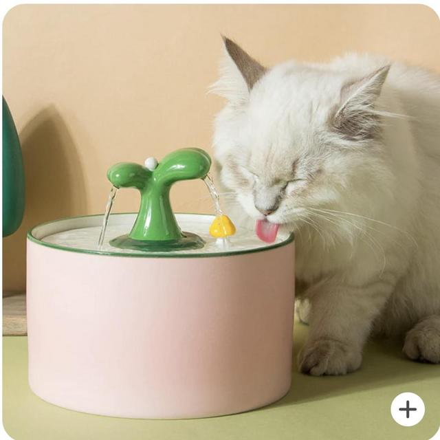 Spring Series Cat Water Fountain