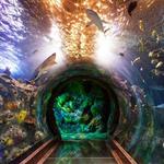 SEA LIFE Grapevine Aquarium