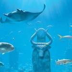 Marine Habitat At Atlantis