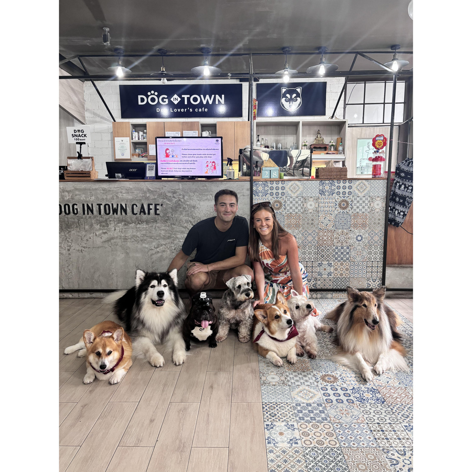 Dog cafe, Bangkok, Thailand