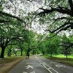 Audubon Park